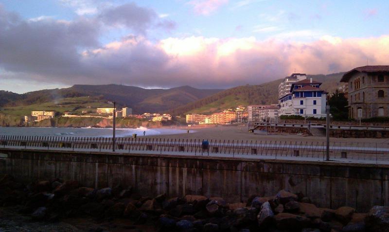 Goiena