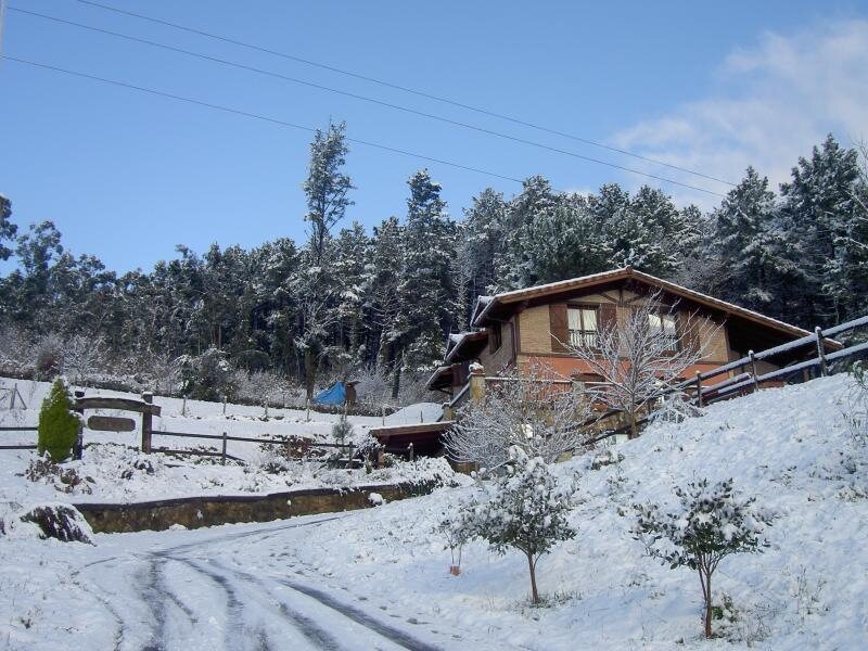 Goiena