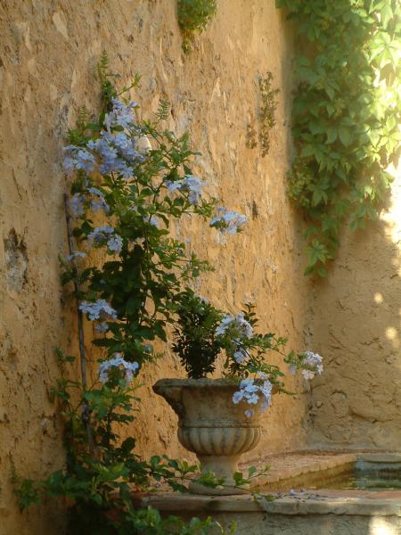 Casadelpati