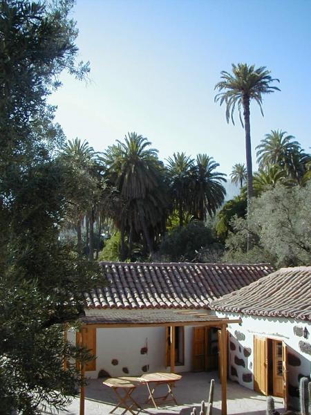 El Palmeral Del Valle
