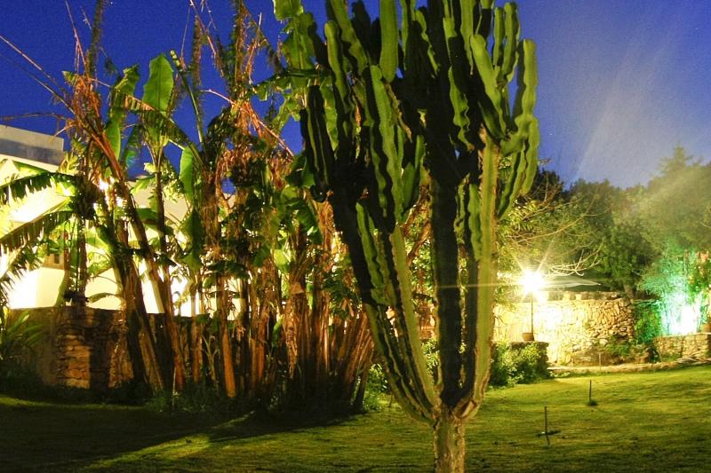 Casa Calma Ibiza