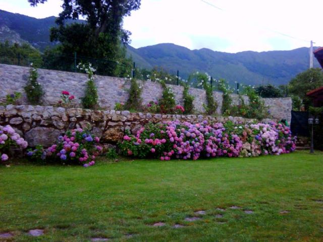 El Ñeru