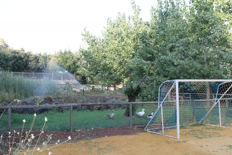 Finca el Carrascal
