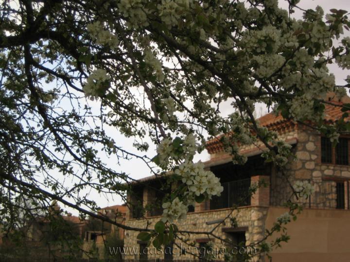 Casa Rural El Regajo