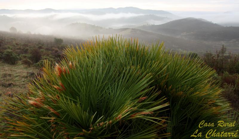 La Chatarré - Finca Con Tres Alojamientos