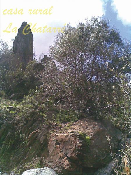 La Chatarré - Finca Con Tres Alojamientos