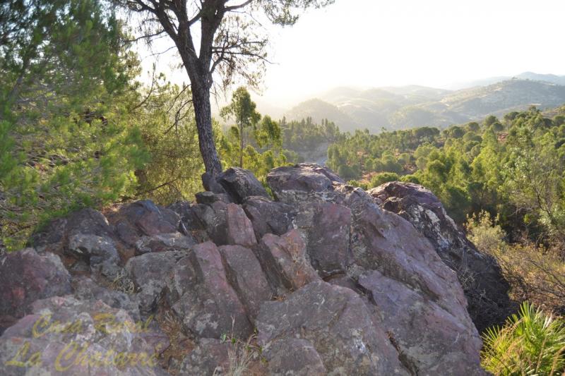 La Chatarré - Finca Con Tres Alojamientos