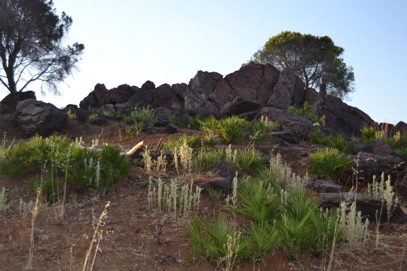 La Chatarré - Finca Con Tres Alojamientos