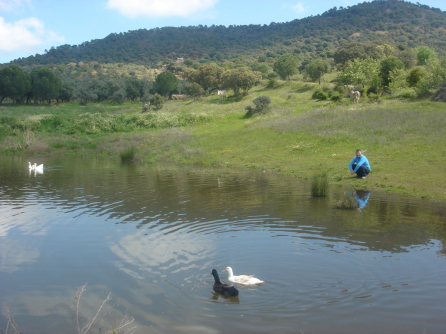 El Castaño
