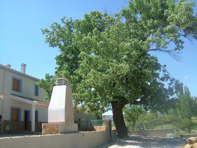 Casas Rurales Arroyo Franco