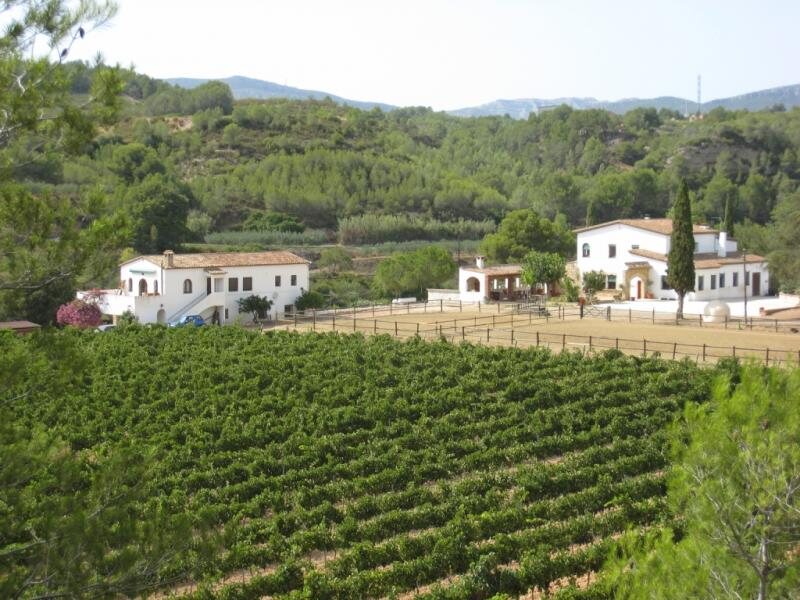 Mas Aragó