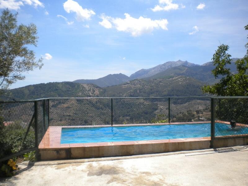 El Potro