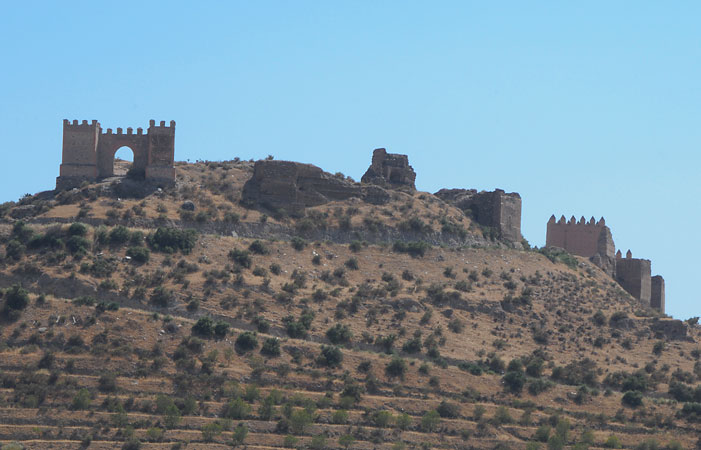 Casas Rurales Los Albardinales