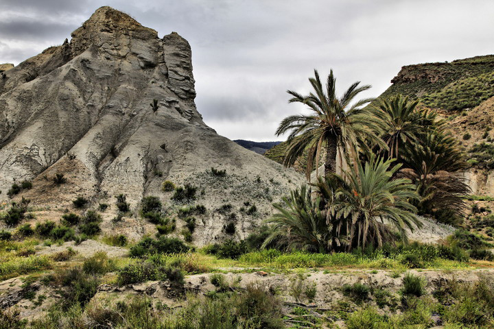 Casas Rurales Los Albardinales