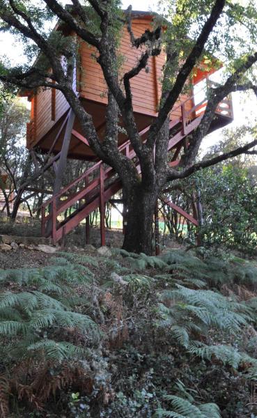 Eco Lodge De Cabañeros