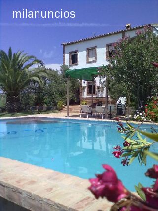 Cortijo En Sierra Norte