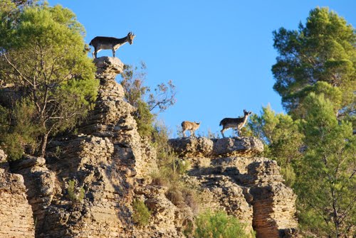 Casa María Juana Piqueras