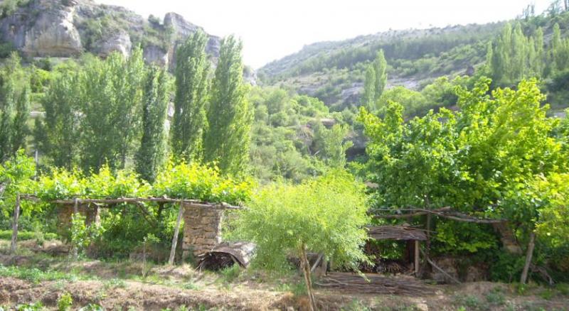 Molino de Papel