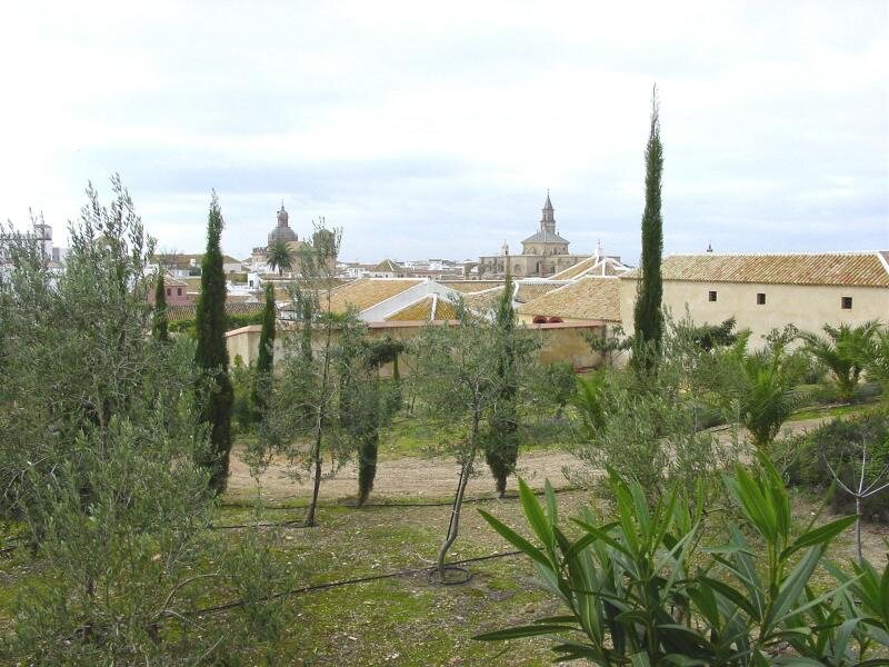 Casa Carmona