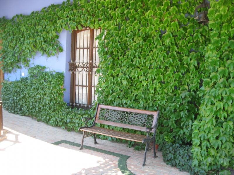 El Quinto Pino