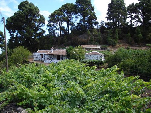 Finca El Miradero