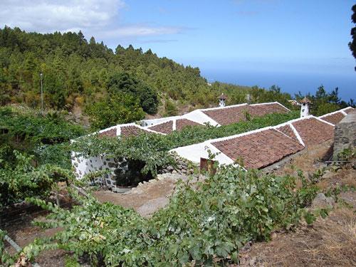 Finca El Miradero