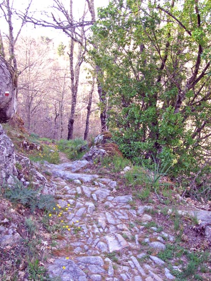 La Fuente - El Caño Chico