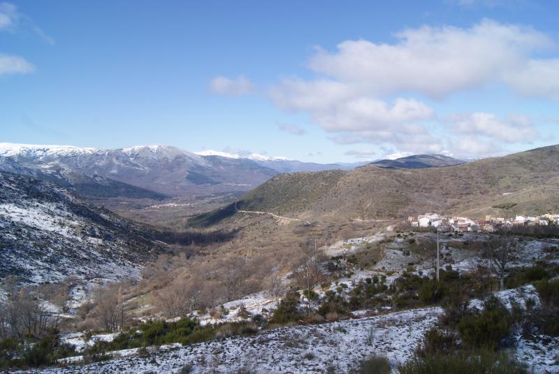 El Cachi-Bachi