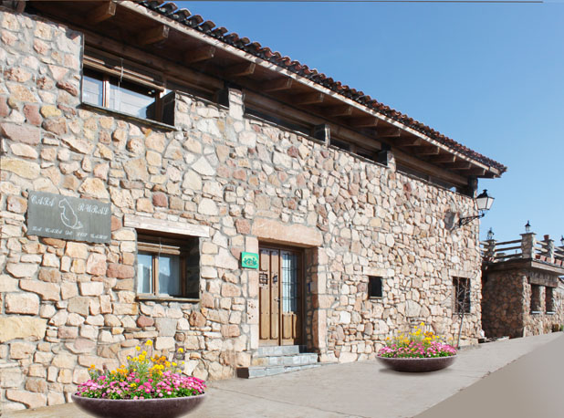 La Casa De Los Gatos