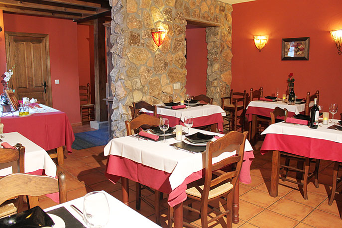 La Casa De Los Gatos