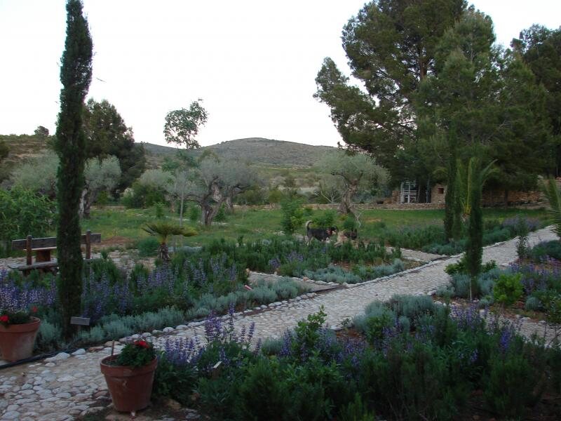 Mas Del Riu