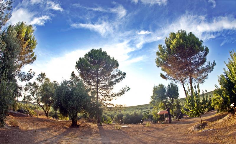 Casa Cortijo Rural Majalcoron