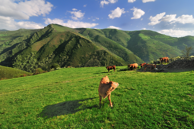 Casa Corral