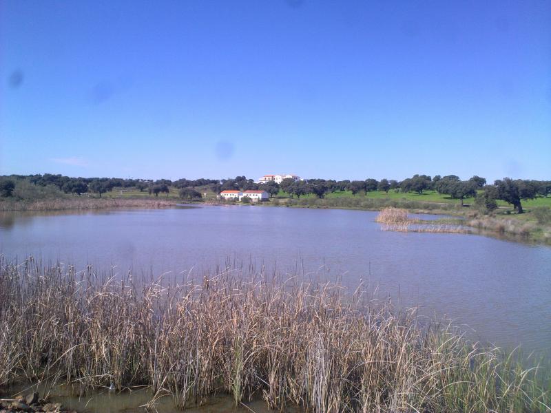 Hostal Rural ** Tavabu