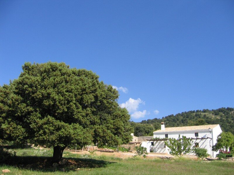 Casas Rurales Cortijos Cerro Fuentes Nuevas
