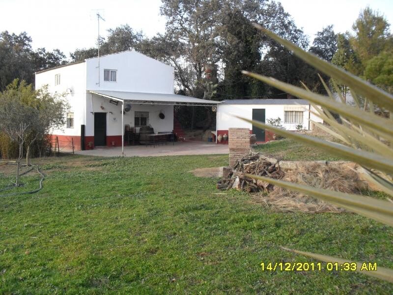 El Acebuche