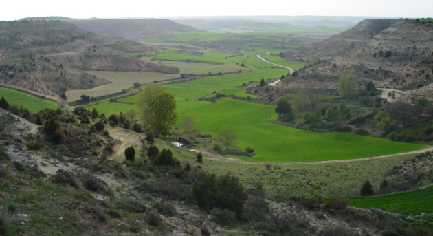 La Plazuela