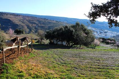 El sitio