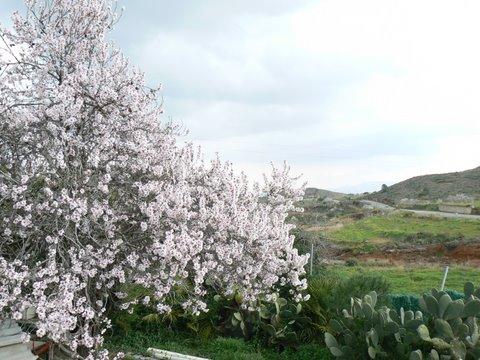 Casa Rural batalla