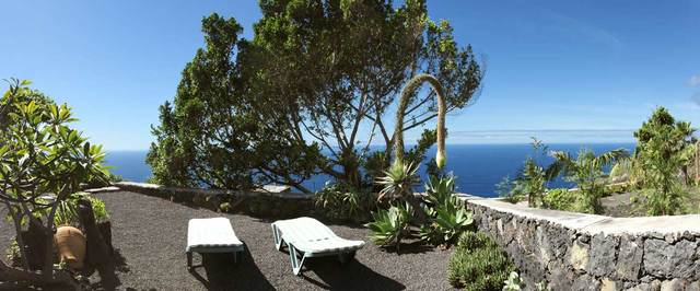 Casa Los Mangos