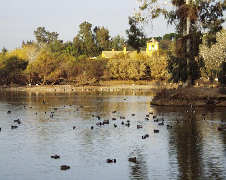 Cañada de los Pájaros