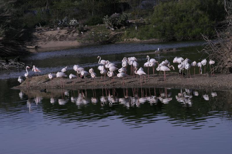 Cañada de los Pájaros