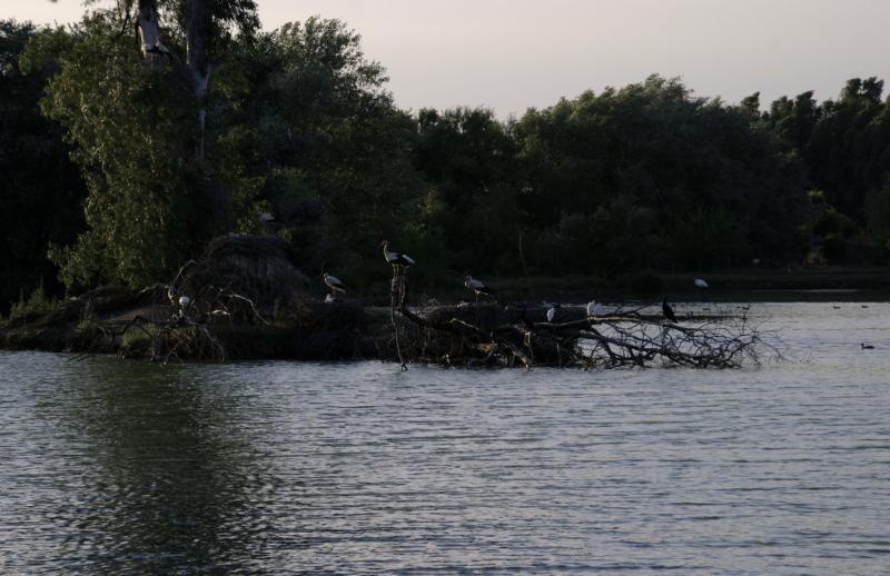 Cañada de los Pájaros