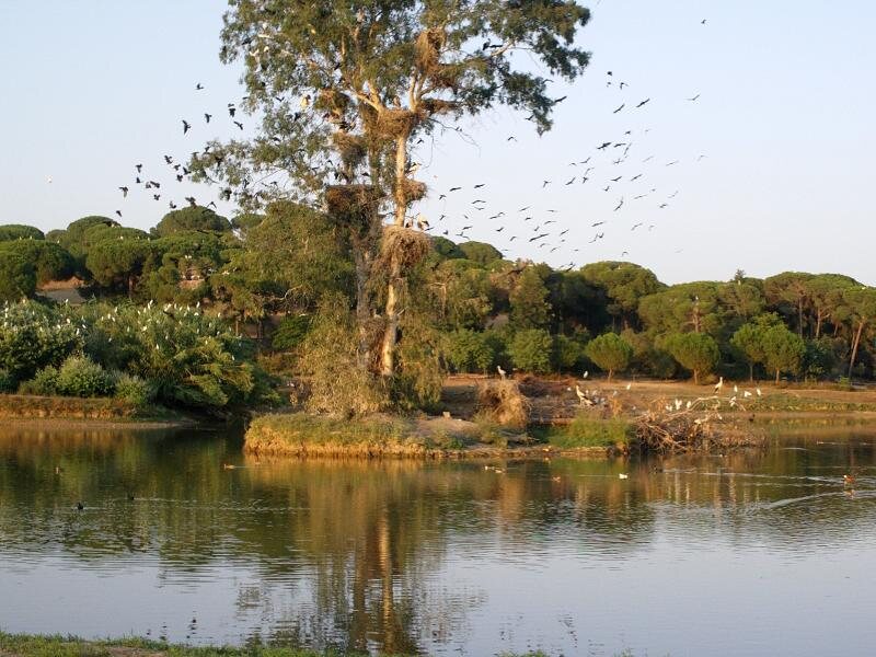 Cañada de los Pájaros