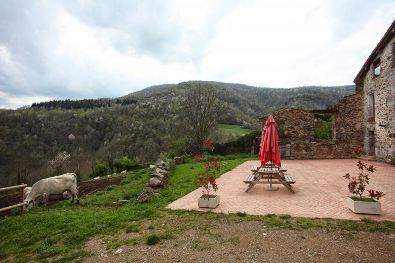 Can Soler De Rocabruna