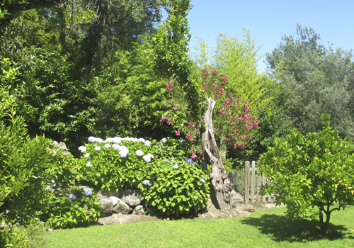 Casa De Canhoes
