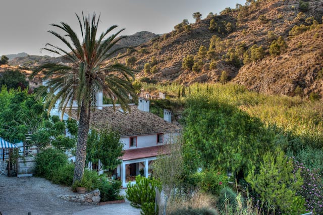 El Molino Del Gallo