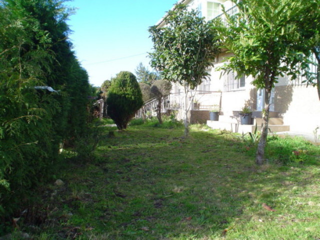 Casa De Olga
