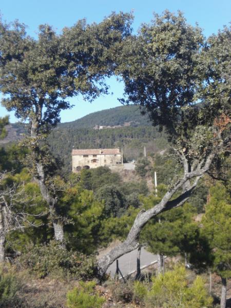 Fonda Rural Casa Angrill