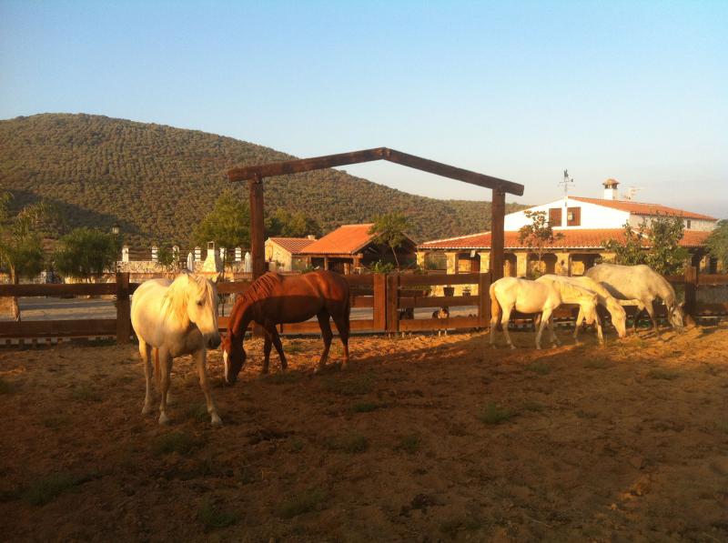 Finca La Herencia